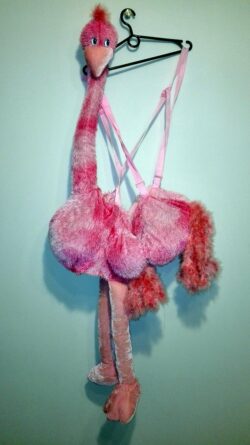Strój Flaminga