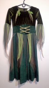 Strój Fiona 2